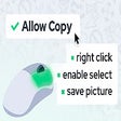 Allow Copy - Enable Right Click for Google Chrome - Extension Download