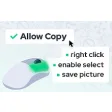 Allow Copy - Enable Right Click