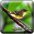 程序图标：Pikat Burung Ciblek MP3 O…