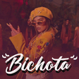 أيقونة البرنامج: Karol G - Bichota Songs