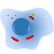 Ikon program: Cell Biology-101