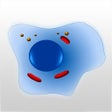 Icon of program: Cell Biology 101