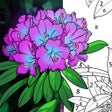 أيقونة البرنامج: 画画像素涂色数字填色花园