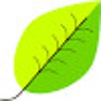 Biểu tượng của chương trình: OpenLeef Extension