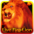 Live Fire Lion Keyboard Theme