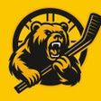 رمز البرنامج: Boston Bruins Hockey Fan …
