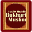 程序图标：Terjemah Shahih Bukhari M…