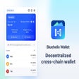 Icon of program: Bluehelix Wallet