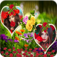 程序图标：Rose Dual Photo Frame