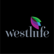 程序图标：Westlife Tech support