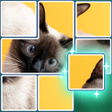 Ikon program: JigSolve Jigsaw Picture P…