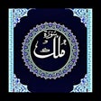 程序图标：Surah Mulk The Protector