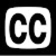 程序图标：Captioner
