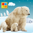 プログラムのアイコン：Animals Cards : Learn Eng…