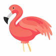 Ícone do programa: Flamingo Animator