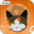 程序图标：Meow - Stranger Video Cha…