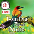 程序图标：Portuguese Good Morning A…