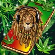 程序图标：Rasta weed live wallpaper…