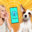 Icoon van programma: Dog Understand: Translato…