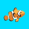 プログラムのアイコン：Fish Tank AR