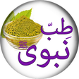 أيقونة البرنامج: Tib e Nabvi se Ilaj in Ur…