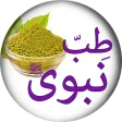Tib e Nabvi se Ilaj in Urdu -  طب نبوی ﷺ  سےعلاج