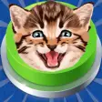 Meow cat sound board - Kitten