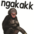 Ícone do programa: Stiker Monyet Monkey Lucu…