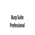 程序图标：Burp Suite Professional