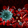 プログラムのアイコン：Immune System
