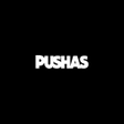 プログラムのアイコン：PUSHAS