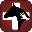Horse Side Vet Guide - Equine Health Resource