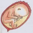 Icon of program: Progress