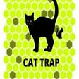 Icon of program: Catch Cat Game
