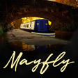 Icon of program: Mayfly