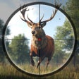Ícone do programa: Hunting Game - Sniper Bat…