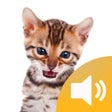 Ikona programu: Animal Sounds - Fun Toddl…