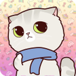 プログラムのアイコン：Cute cat wallpapers