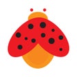 ไอคอนของโปรแกรม: Jitbug