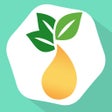 Icon of program: Essential Oils Guide - My…