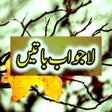 程序图标：Urdu Deep Batain
