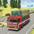 Real Euro Cargo Truck Driving