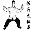 Ícone do programa: Tai Chi Technique
