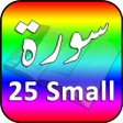 Ikon program: 25 Small Surah Audio