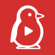 Иконка программы: Pingo Player