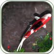 Pocket Pond icon