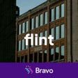 Ikon program: The Flint App