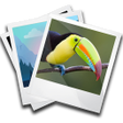 Icon of program: Photo Widget For Home Scr…
