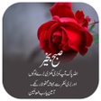 Icon of program: Subah Bakhair Greetings