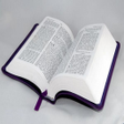 Ikon program: Luhya bible